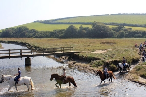 Newquay Horse Riding